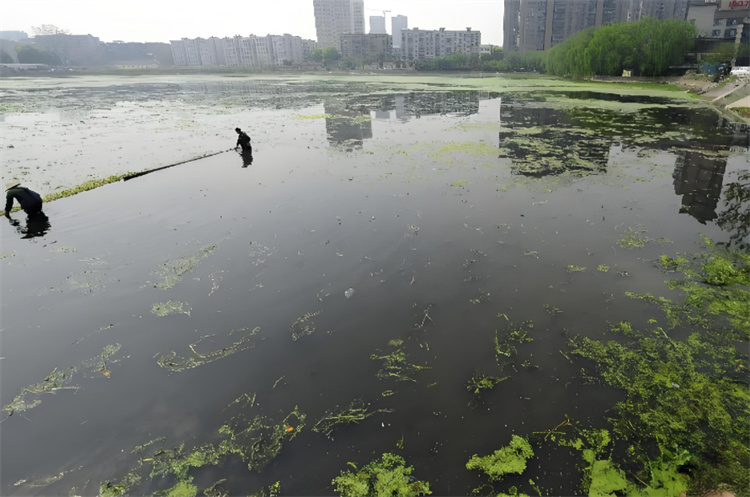 河道/湖泊/水库底泥解决方案-江苏中泥租赁有限公司