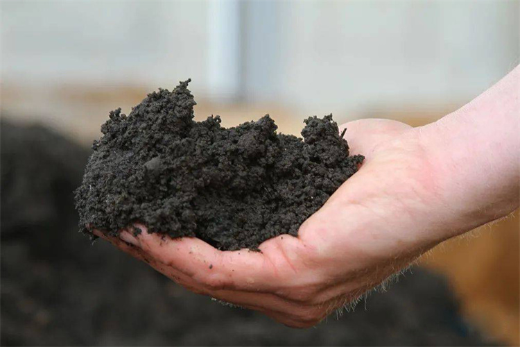 泥浆固控 + 污泥脱水选哪家?中泥租赁设备，让固液分离更高效