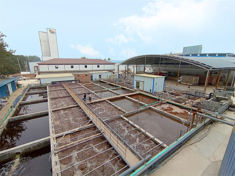 市政工程“清淤利器”——车载叠螺机租赁开启高效环保新篇章