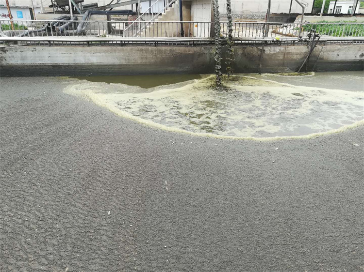 水利工程清淤新变革：中泥租赁一站式解决方案为河道治理提质增效

