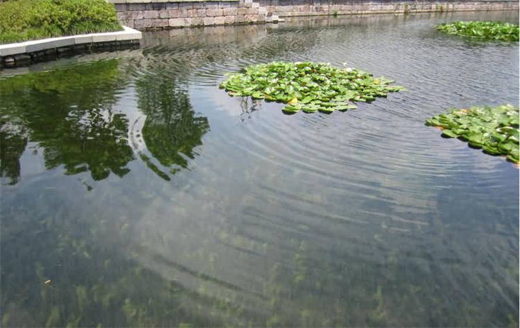 河道淤塞影响灌溉?中泥租赁专业清淤方案，助力农村水系焕然一新